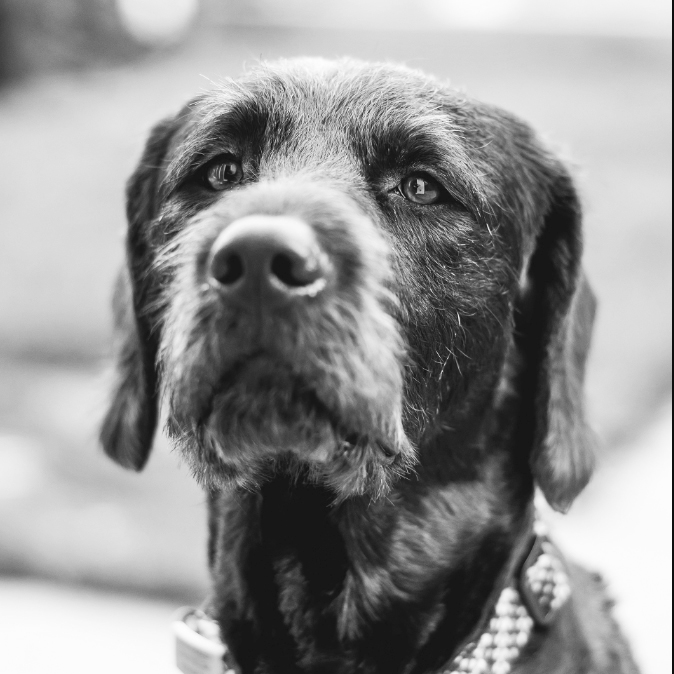 Archie