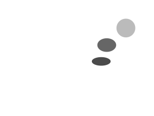 iadea-logo-300x227 grey